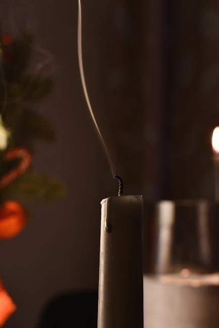 presto dehydrator manual